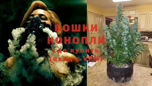 ПСИЛОЦИБИНОВЫЕ ГРИБЫ Горно-Алтайск