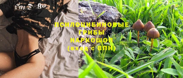 мет Горнозаводск