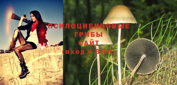 мет Горнозаводск