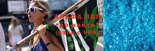ПСИЛОЦИБИНОВЫЕ ГРИБЫ Горно-Алтайск
