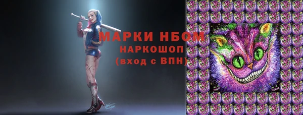 ПСИЛОЦИБИНОВЫЕ ГРИБЫ Горно-Алтайск