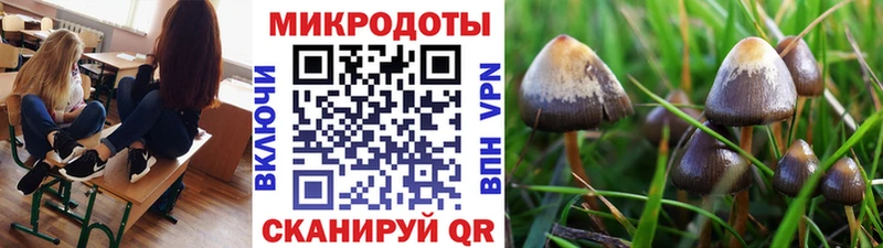 Псилоцибиновые грибы Psilocybe  как найти   ОМГ ОМГ сайт  Пенза 